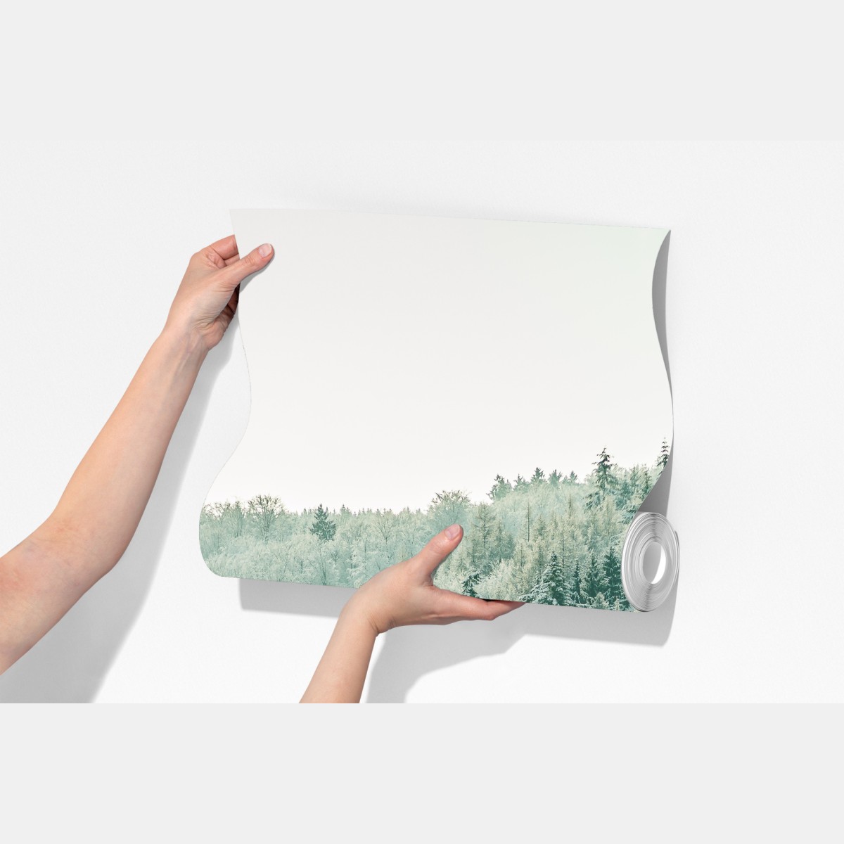 Fototapeta mglisty szronowy las – Wallissimo® Fototapeta mglisty szronowy las – Wallissimo®