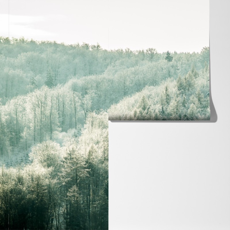 Fototapeta mglisty szronowy las – Wallissimo® Fototapeta mglisty szronowy las – Wallissimo®