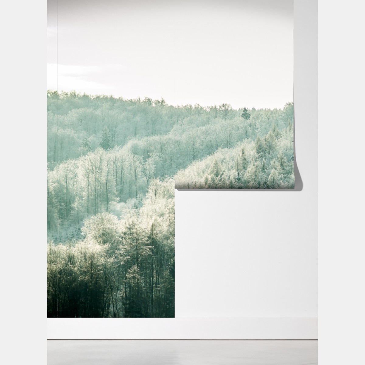 Fototapeta mglisty szronowy las – Wallissimo® Fototapeta mglisty szronowy las – Wallissimo®