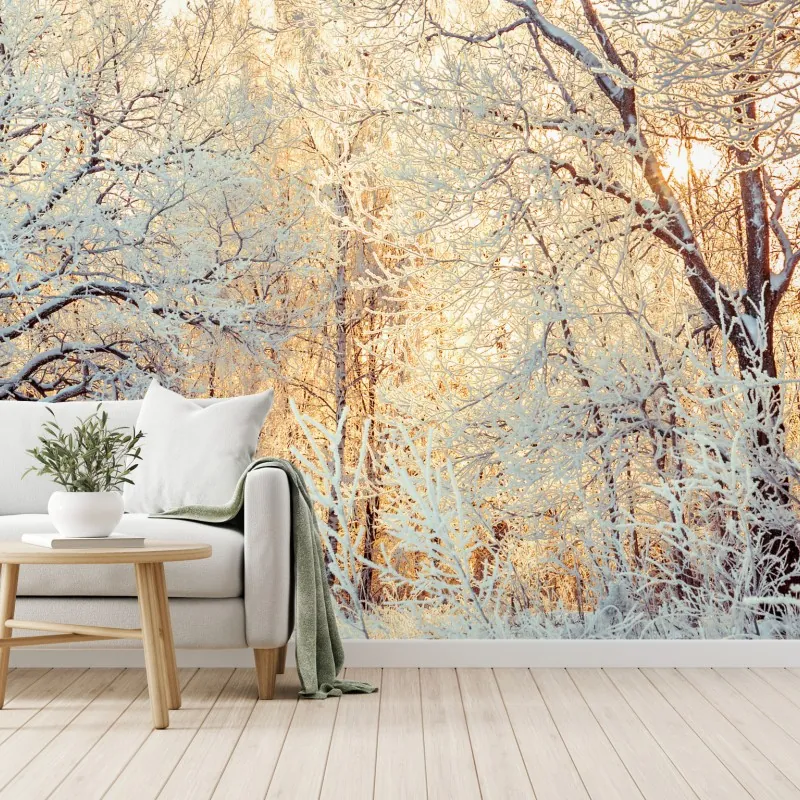 Fototapeta zimowe światło słońca w zaśnieżonym lesie