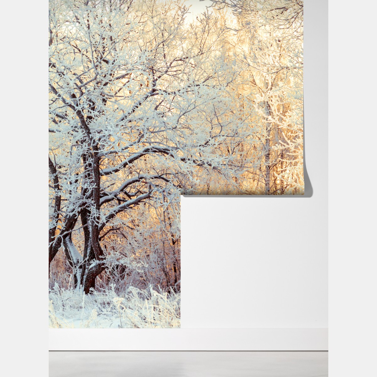 Fototapeta zimowe światło słońca w zaśnieżonym lesie – Wallissimo® Fototapeta zimowe światło słońca w zaśnieżonym lesie – Wallissimo®