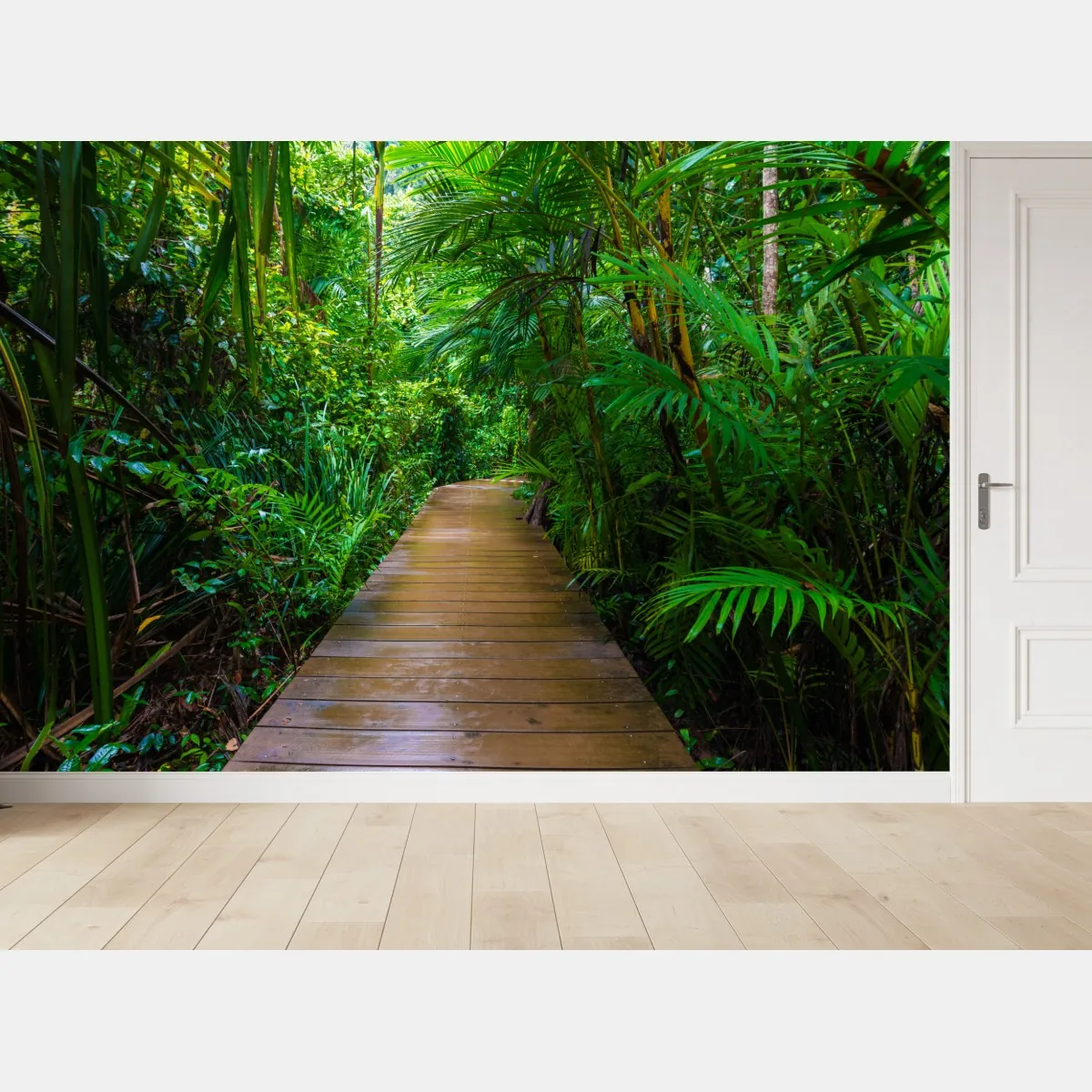 Fototapeta mangrowa kładka w bujnej zielonej dżungli – Wallissimo® Fototapeta mangrowa kładka w bujnej zielonej dżungli – Wallissimo®