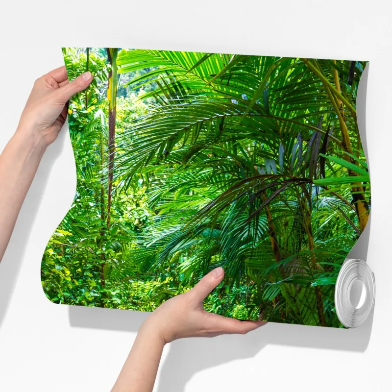 Fototapeta mangrowa kładka w bujnej zielonej dżungli – Wallissimo® Fototapeta mangrowa kładka w bujnej zielonej dżungli – Wallissimo®