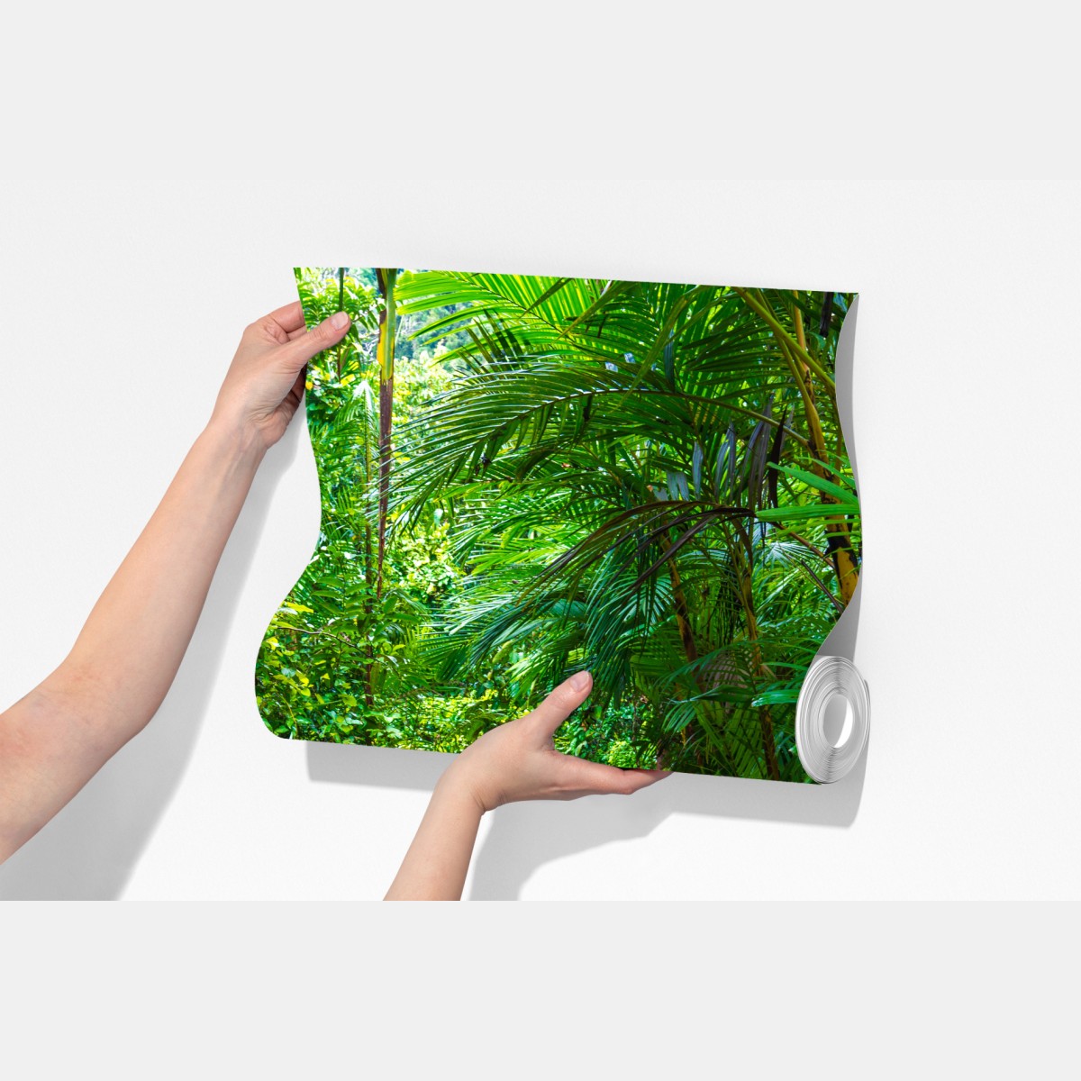 Fototapeta mangrowa kładka w bujnej zielonej dżungli – Wallissimo® Fototapeta mangrowa kładka w bujnej zielonej dżungli – Wallissimo®