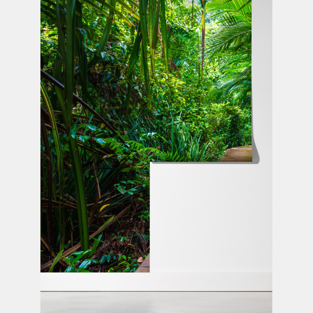 Fototapeta mangrowa kładka w bujnej zielonej dżungli – Wallissimo® Fototapeta mangrowa kładka w bujnej zielonej dżungli – Wallissimo®