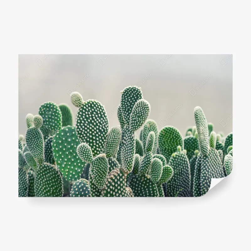 Fototapeta burzliwe wybrzeże Islandii panorama – Wallissimo®