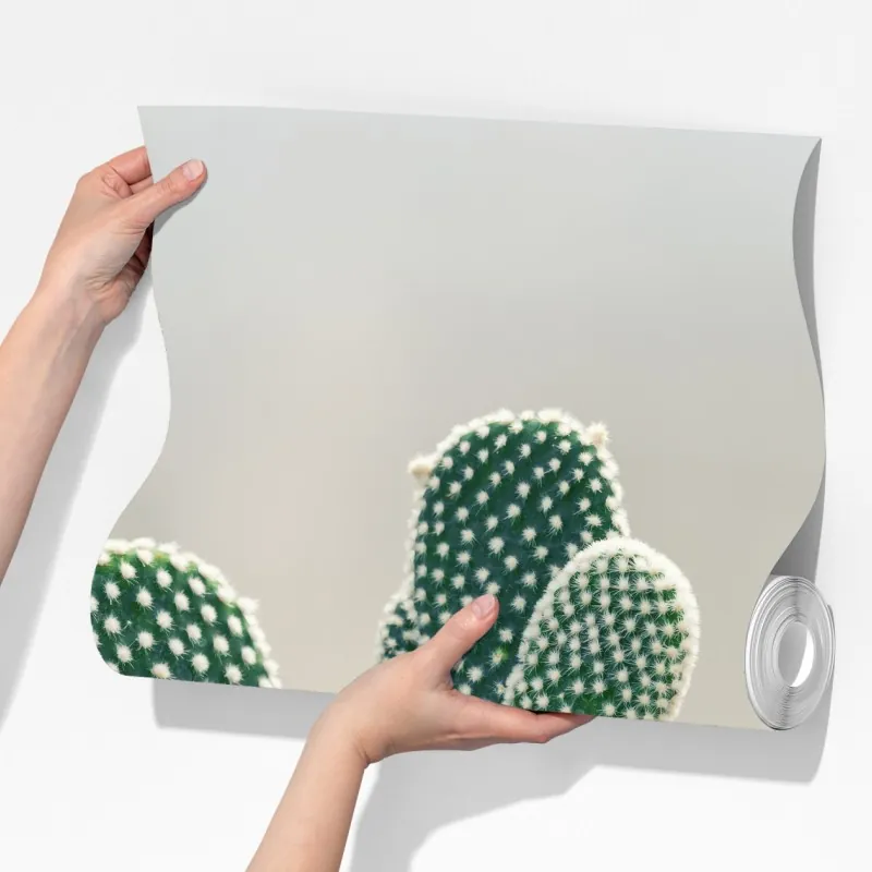 Fototapeta zbliżenie kaktusa opuncji – Wallissimo® Fototapeta zbliżenie kaktusa opuncji – Wallissimo®