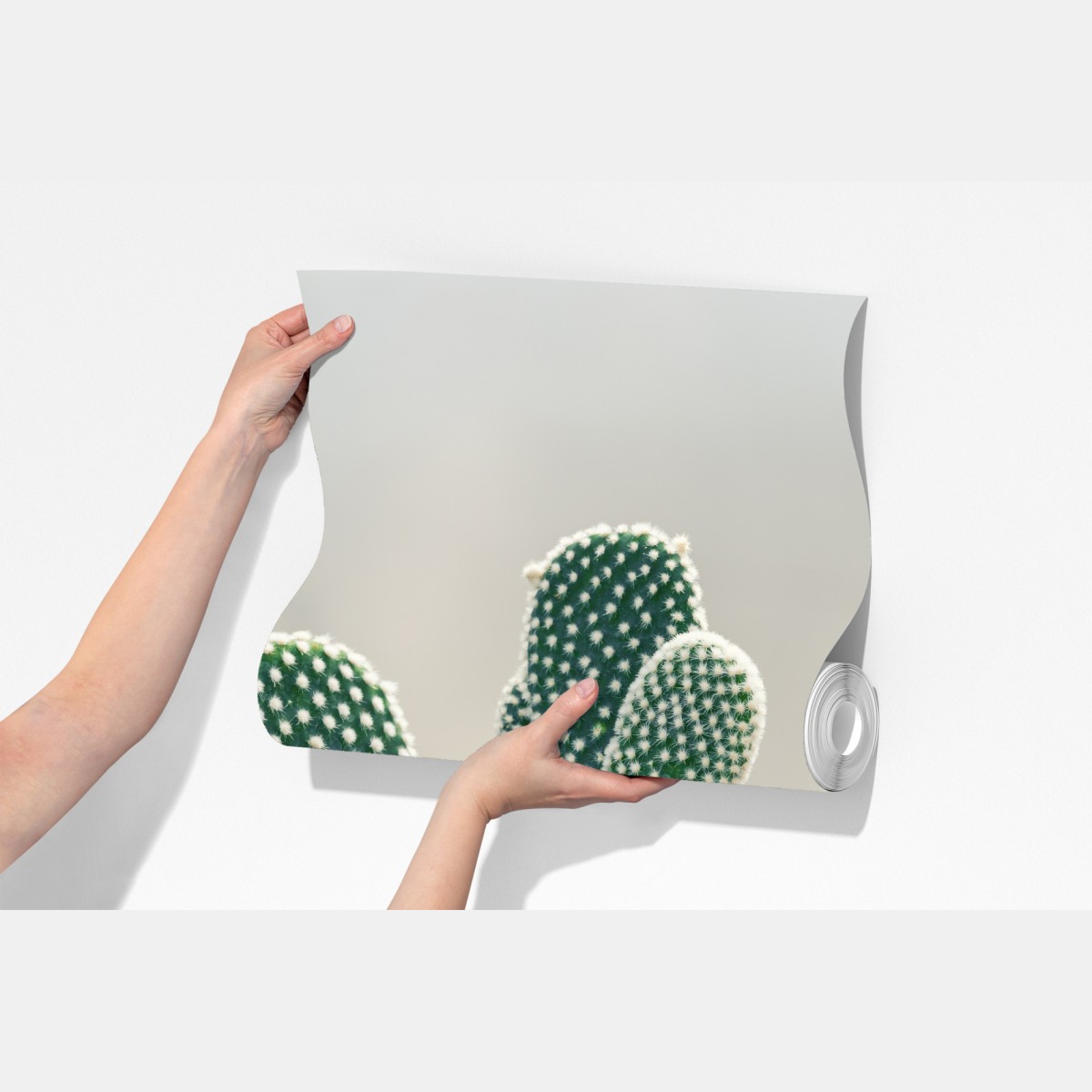 Fototapeta zbliżenie kaktusa opuncji – Wallissimo® Fototapeta zbliżenie kaktusa opuncji – Wallissimo®