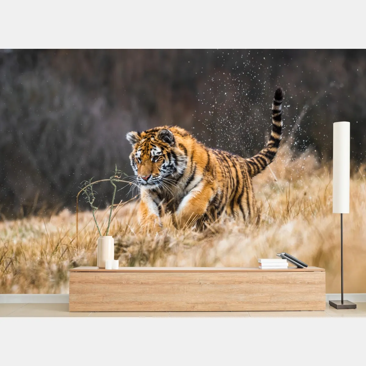 Fototapeta tygrys Syberyjski w biegu – Wallissimo® Fototapeta tygrys Syberyjski w biegu – Wallissimo®
