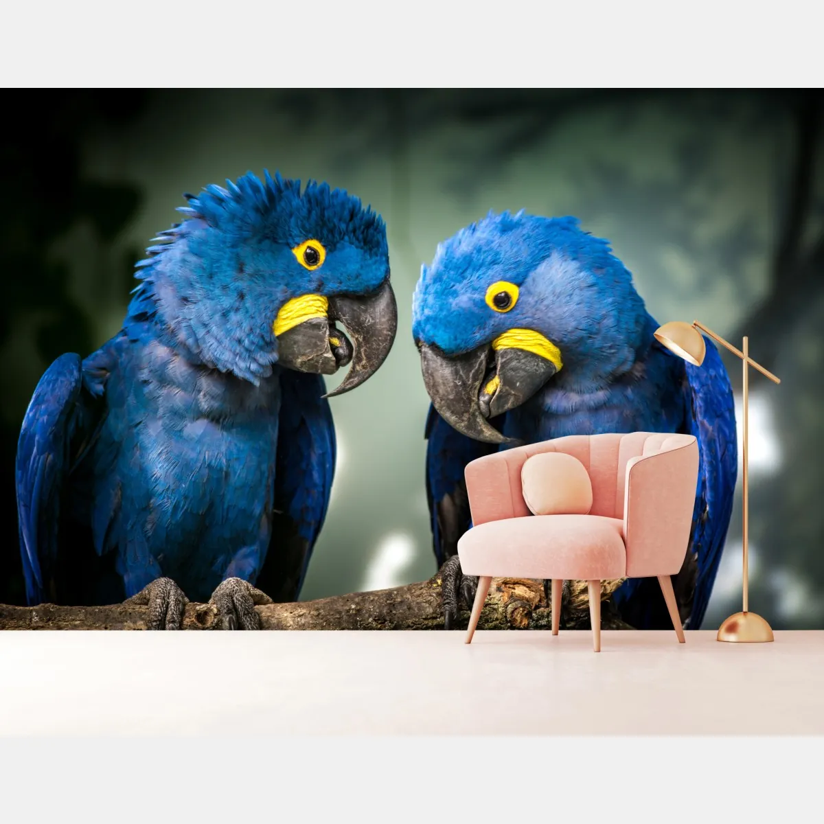 Fototapeta para niebieskich ary - portret z bliska – Wallissimo® Fototapeta para niebieskich ary - portret z bliska – Wallissimo®