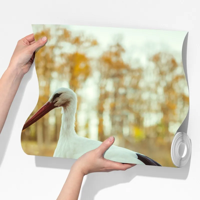 Fototapeta biały bocian nad jesiennym jeziorem – Wallissimo® Fototapeta biały bocian nad jesiennym jeziorem – Wallissimo®