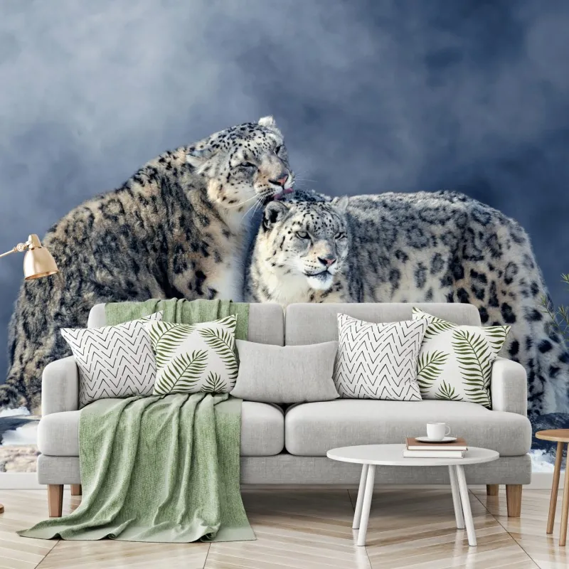 Fototapeta majestatyczne pantery śnieżne w zimie – Wallissimo® Fototapeta majestatyczne pantery śnieżne w zimie – Wallissimo®