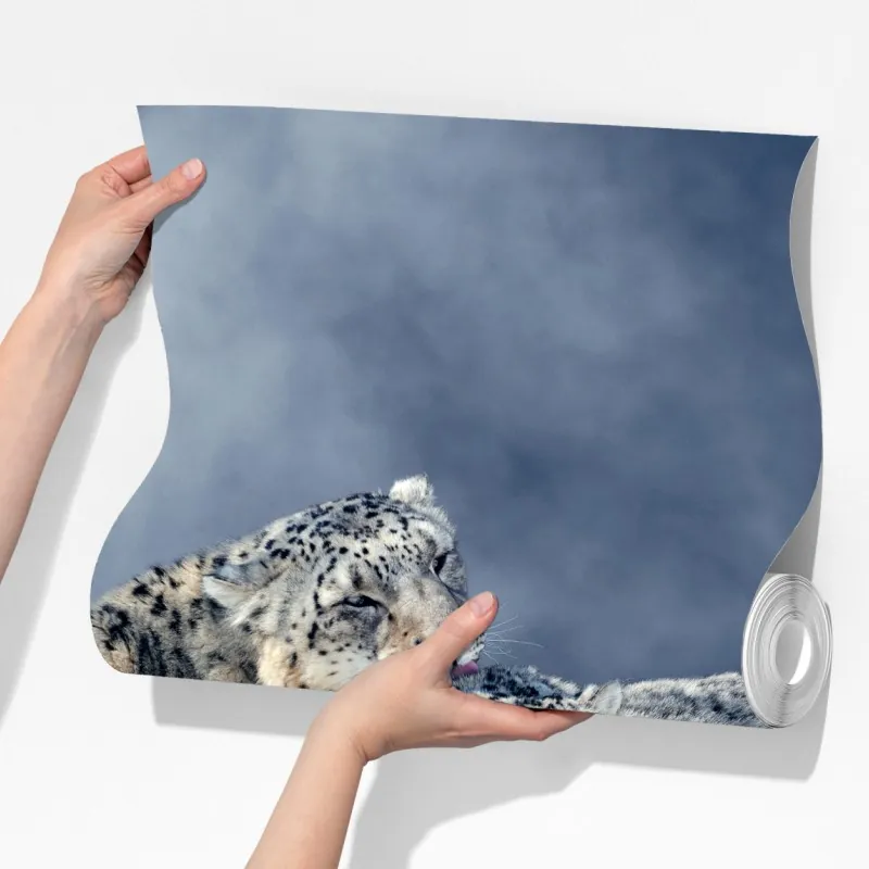 Fototapeta majestatyczne pantery śnieżne w zimie – Wallissimo® Fototapeta majestatyczne pantery śnieżne w zimie – Wallissimo®