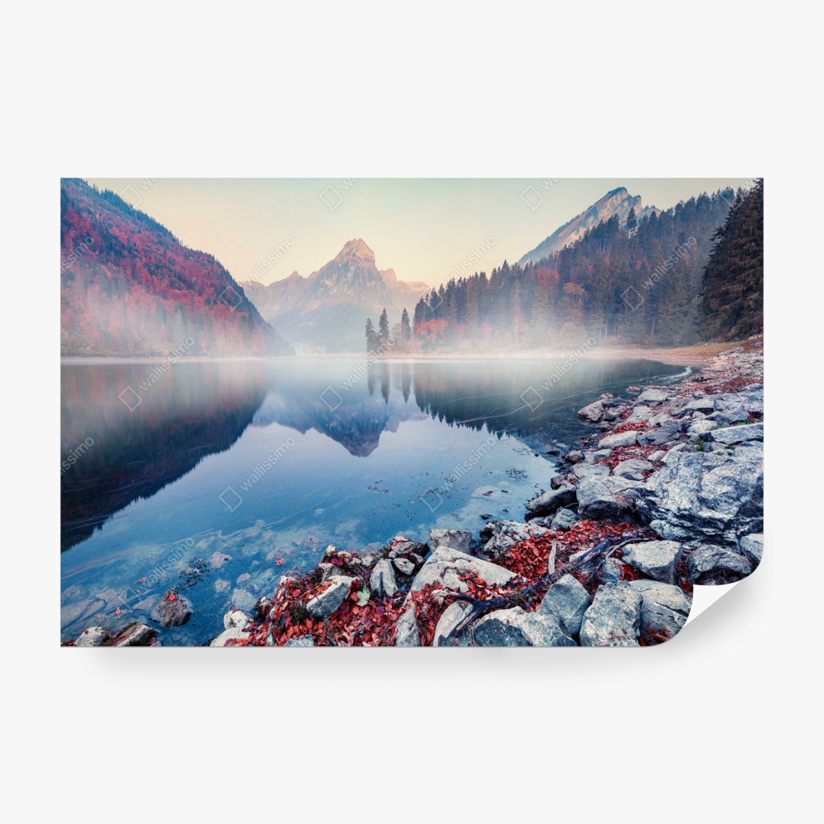 Fototapeta mglisty jesienny poranek nad Obersee, Alpy Szwajcarskie – Wallissimo® Fototapeta mglisty jesienny poranek nad Obersee, Alpy Szwajcarskie – Wallissimo®