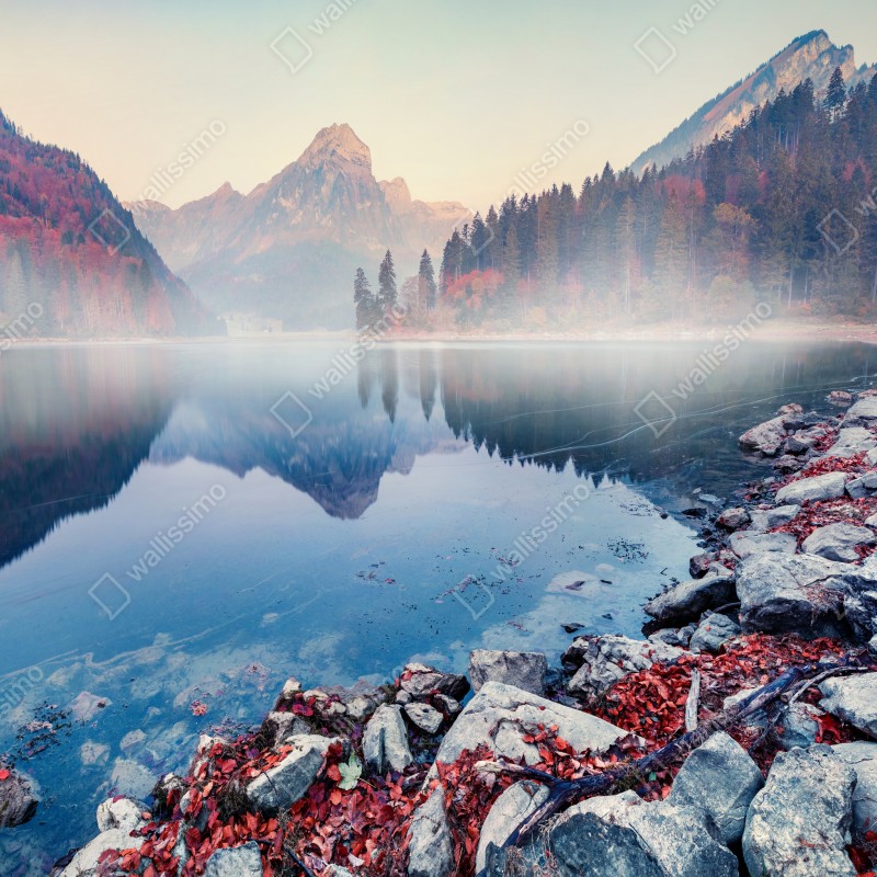 Fototapeta mglisty jesienny poranek nad Obersee, Alpy Szwajcarskie – Wallissimo® Fototapeta mglisty jesienny poranek nad Obersee, Alpy Szwajcarskie – Wallissimo®