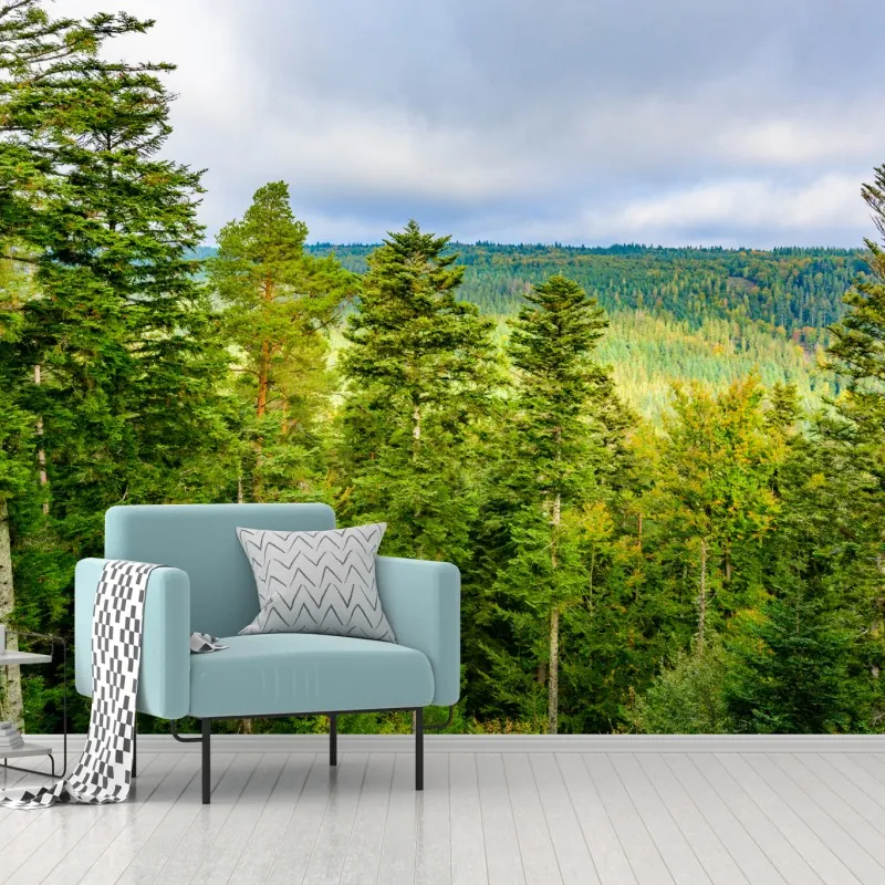 Fototapeta Czarny Las jesienna panorama drzew