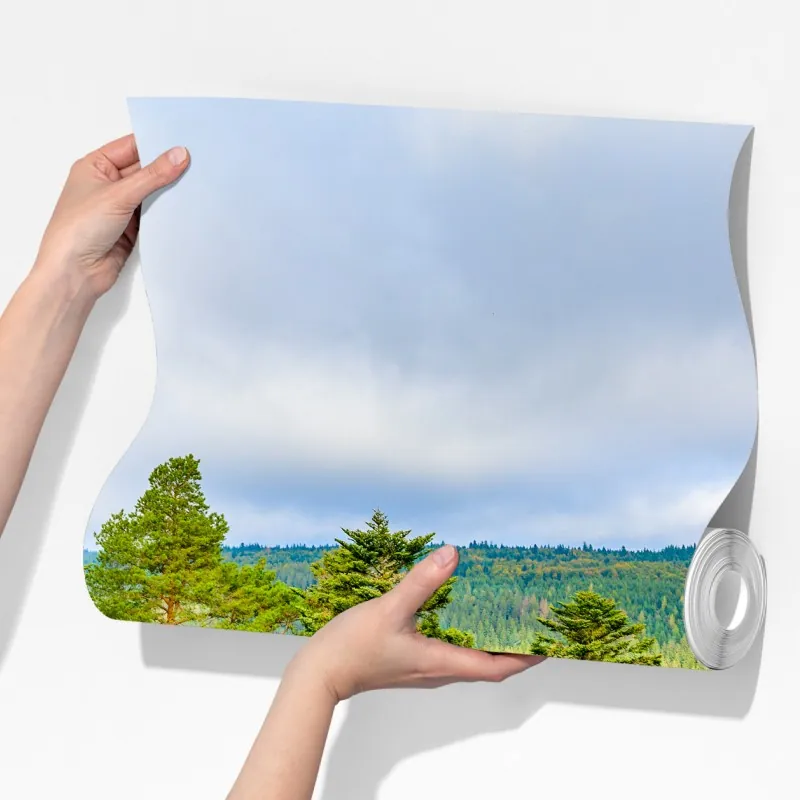 Fototapeta Czarny Las jesienna panorama drzew – Wallissimo® Fototapeta Czarny Las jesienna panorama drzew – Wallissimo®