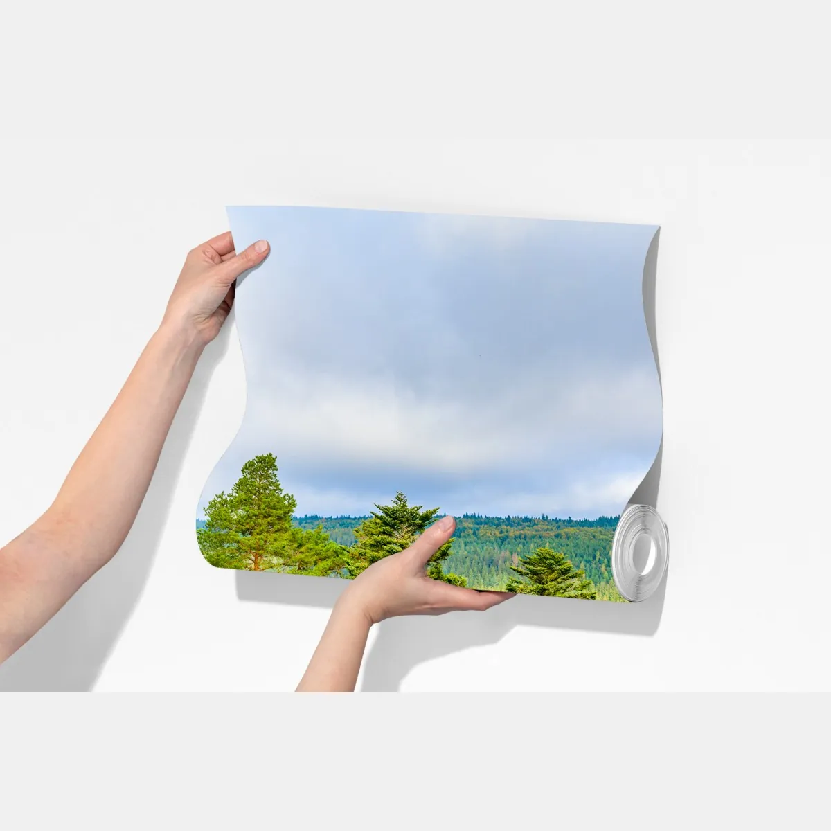 Fototapeta Czarny Las jesienna panorama drzew – Wallissimo® Fototapeta Czarny Las jesienna panorama drzew – Wallissimo®