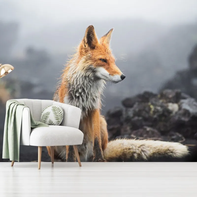 Fototapeta rudy lis w mglistym krajobrazie – Wallissimo® Fototapeta rudy lis w mglistym krajobrazie – Wallissimo®