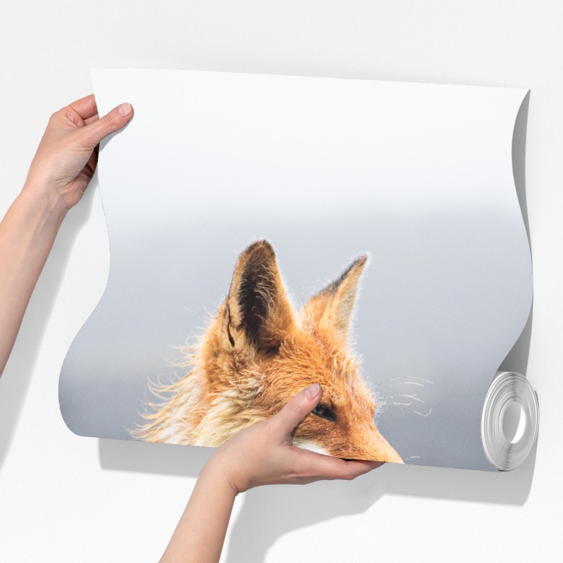 Fototapeta rudy lis w mglistym krajobrazie – Wallissimo® Fototapeta rudy lis w mglistym krajobrazie – Wallissimo®