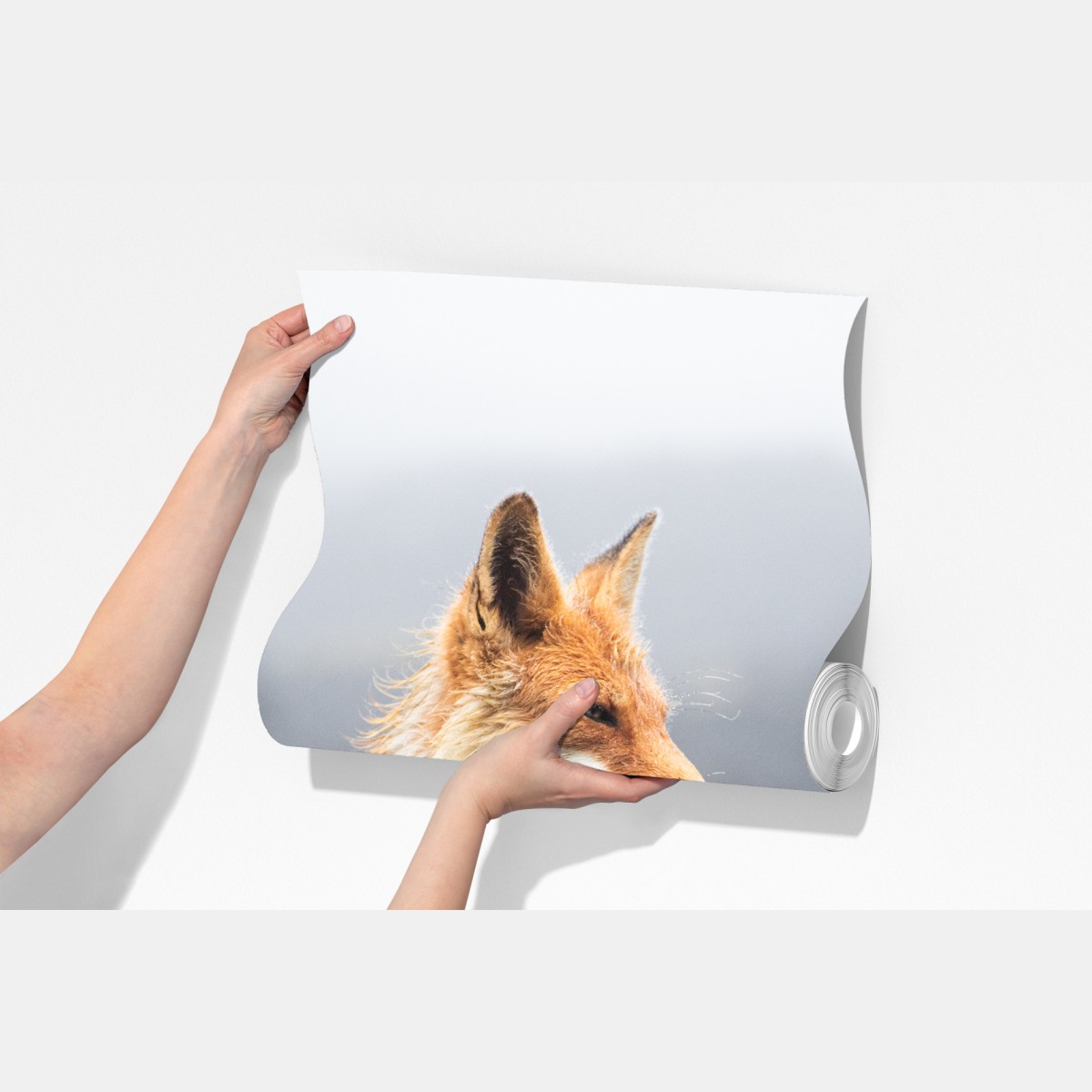 Fototapeta rudy lis w mglistym krajobrazie – Wallissimo® Fototapeta rudy lis w mglistym krajobrazie – Wallissimo®