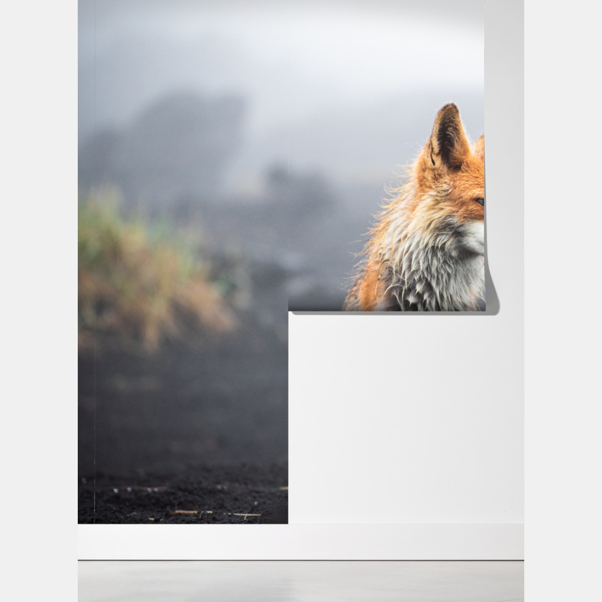 Fototapeta rudy lis w mglistym krajobrazie – Wallissimo® Fototapeta rudy lis w mglistym krajobrazie – Wallissimo®