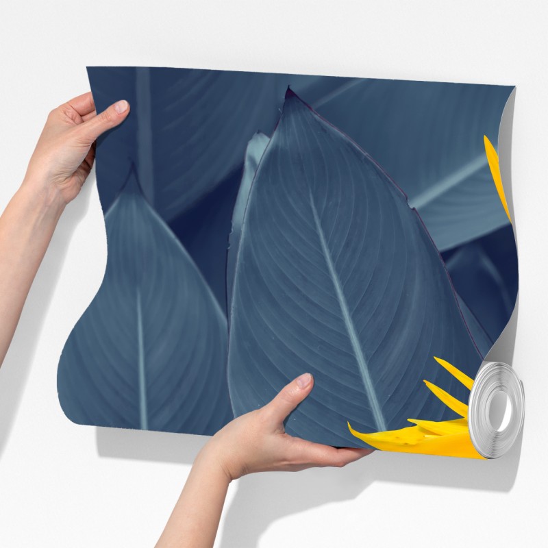 Fototapeta żółta strelicja na niebieskich liściach – Wallissimo® Fototapeta żółta strelicja na niebieskich liściach – Wallissimo®