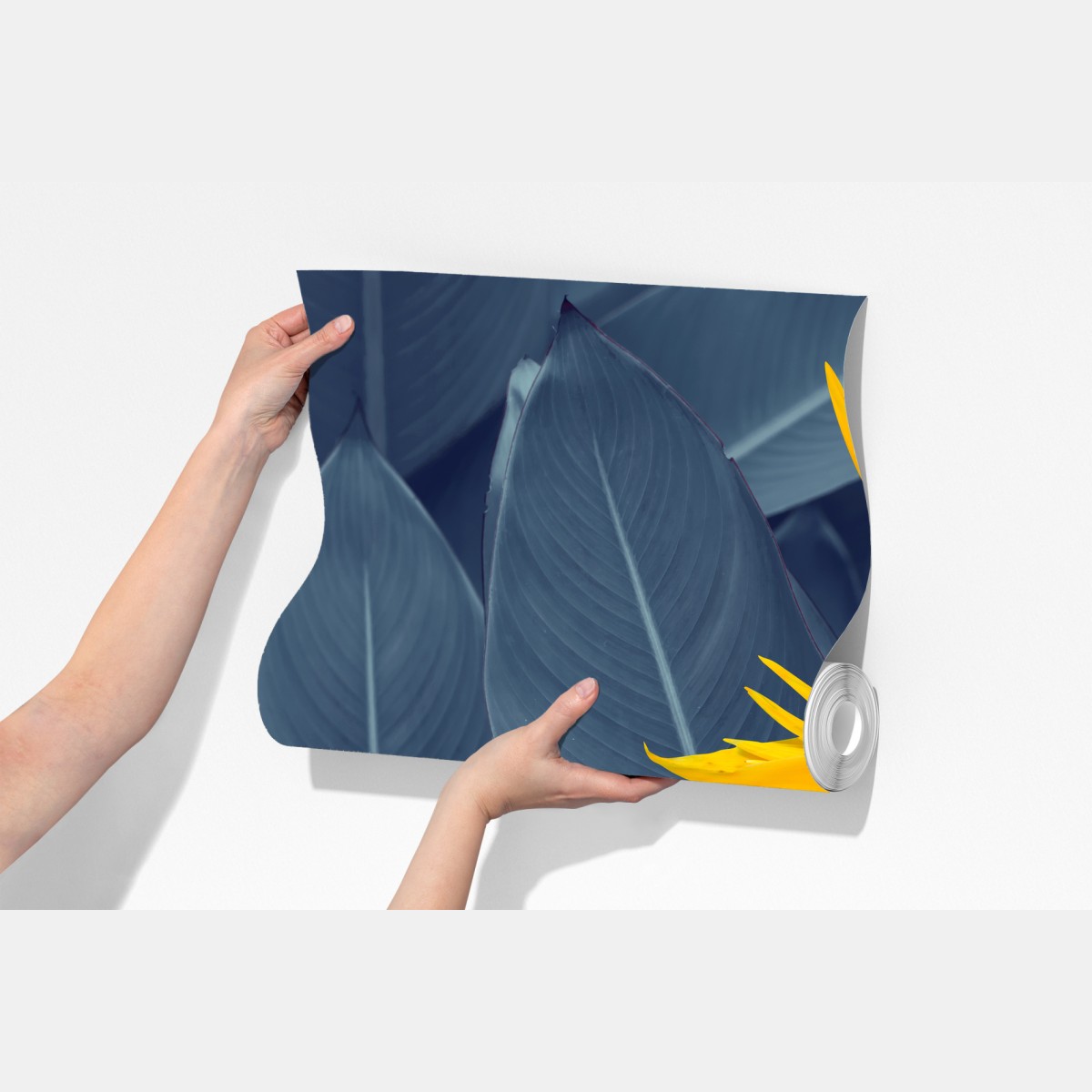 Fototapeta żółta strelicja na niebieskich liściach – Wallissimo® Fototapeta żółta strelicja na niebieskich liściach – Wallissimo®