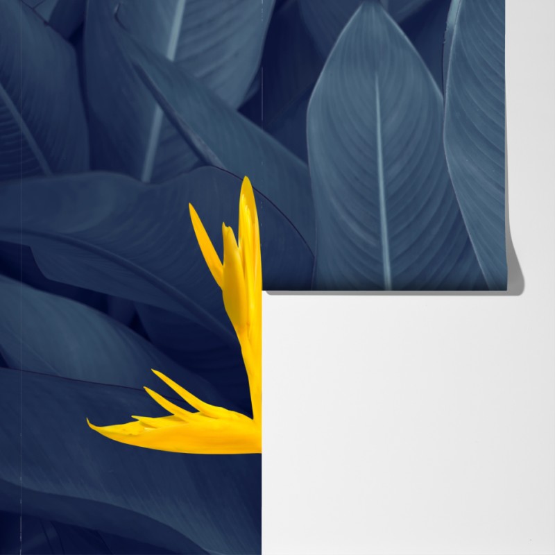 Fototapeta żółta strelicja na niebieskich liściach – Wallissimo® Fototapeta żółta strelicja na niebieskich liściach – Wallissimo®