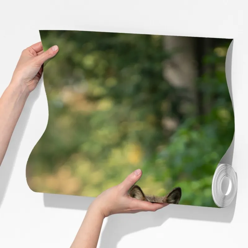 Fototapeta wilk w leśnej polanie – Wallissimo® Fototapeta wilk w leśnej polanie – Wallissimo®