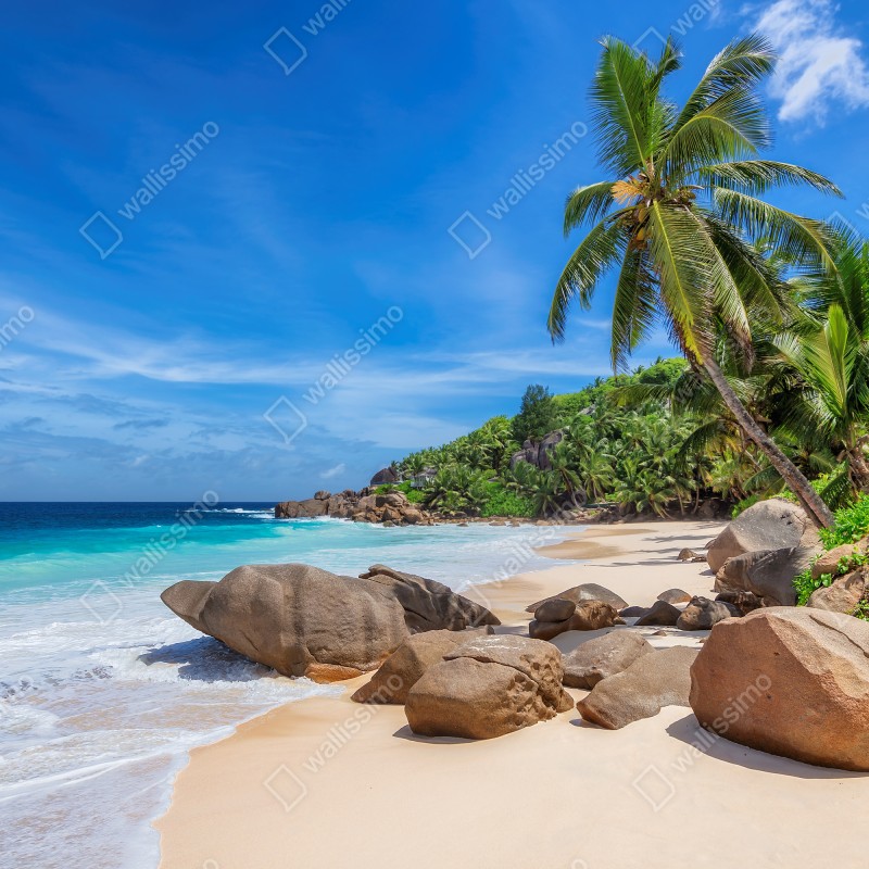 Fototapeta tropikalna plaża z palmami – Wallissimo® Fototapeta tropikalna plaża z palmami – Wallissimo®