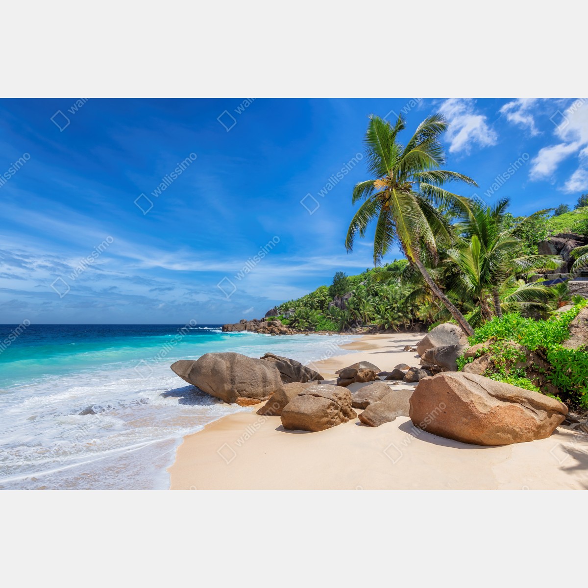 Fototapeta tropikalna plaża z palmami – Wallissimo® Fototapeta tropikalna plaża z palmami – Wallissimo®