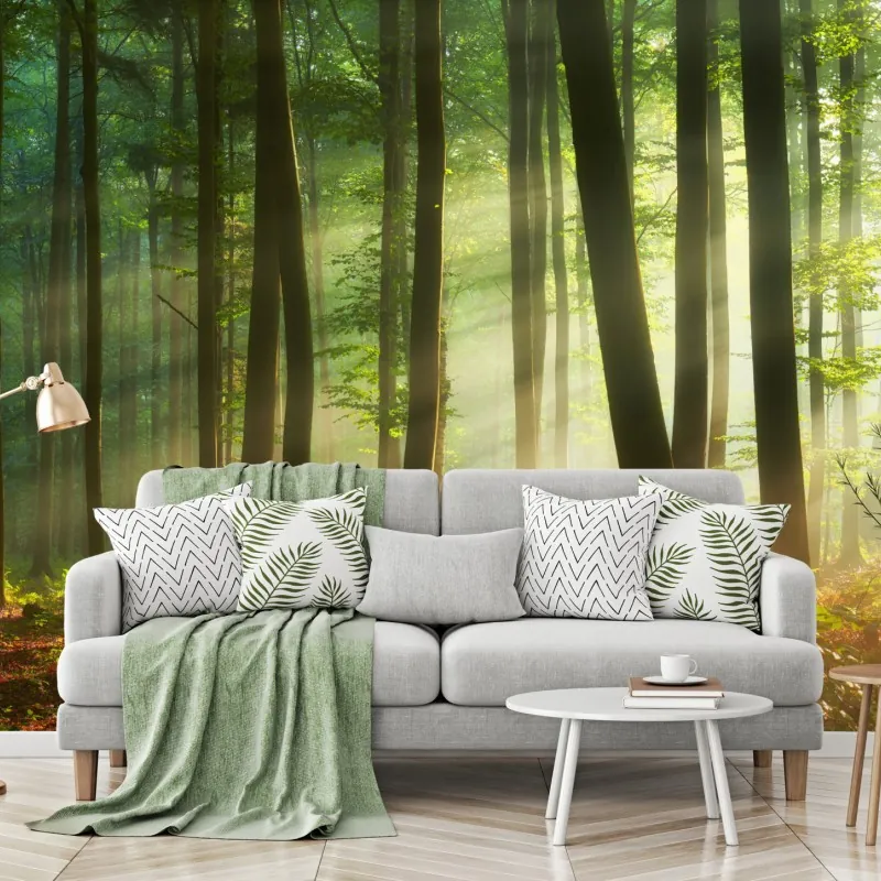 Fototapeta poranny las skąpany w słońcu – Wallissimo® Fototapeta poranny las skąpany w słońcu – Wallissimo®