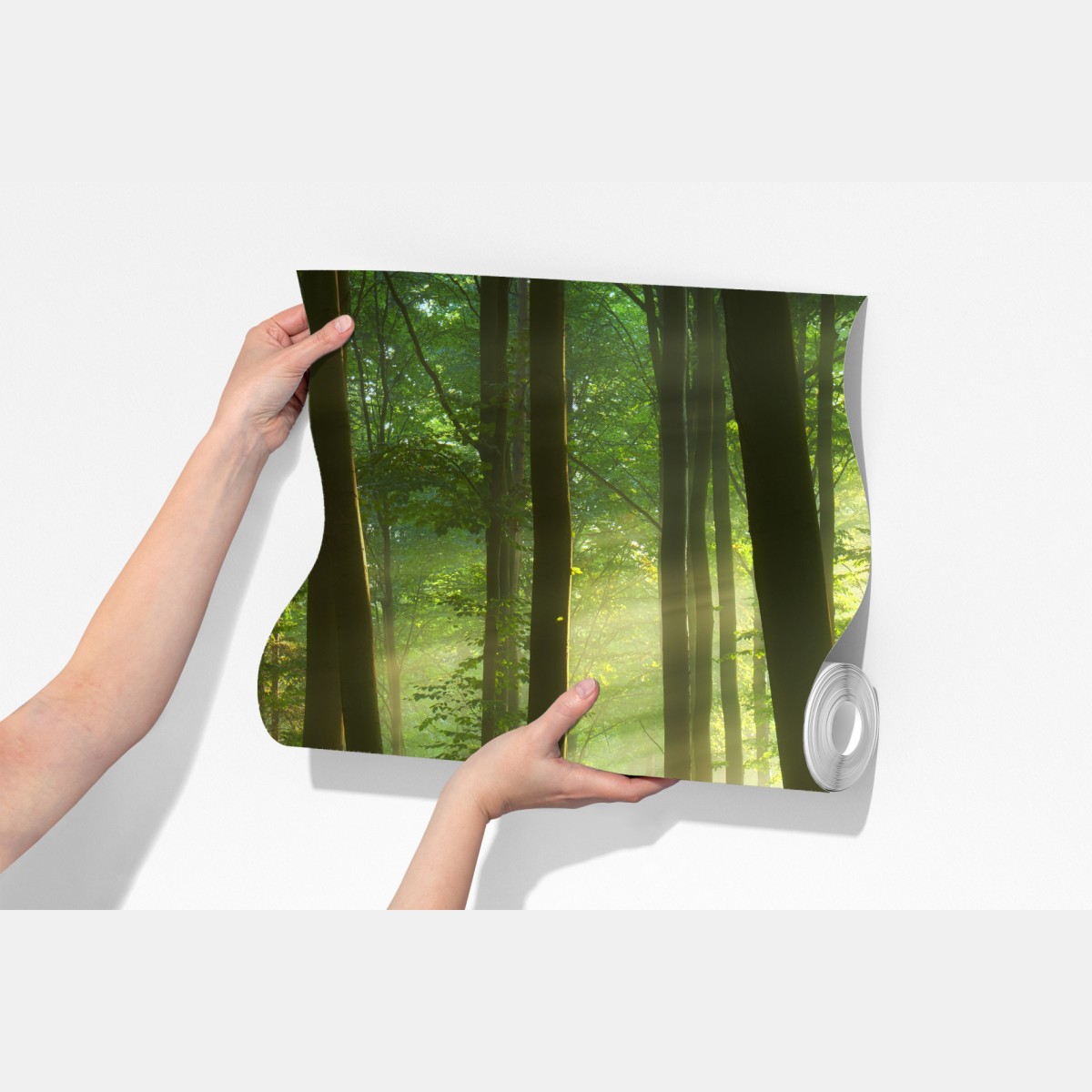 Fototapeta poranny las skąpany w słońcu – Wallissimo® Fototapeta poranny las skąpany w słońcu – Wallissimo®