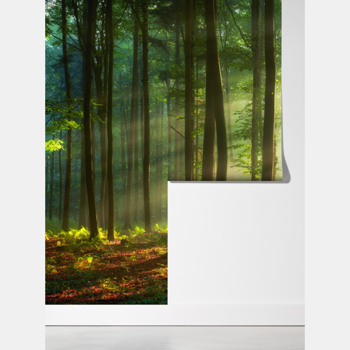 Fototapeta poranny las skąpany w słońcu – Wallissimo® Fototapeta poranny las skąpany w słońcu – Wallissimo®