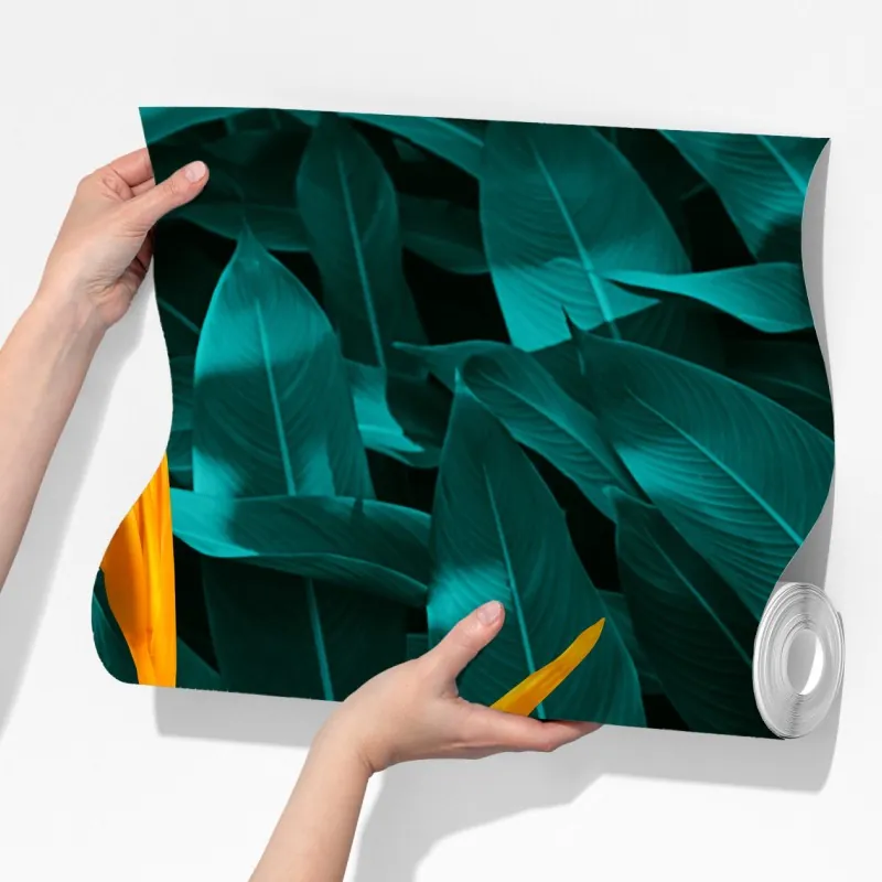 Fototapeta tropikalna strelicja na turkusowych liściach – Wallissimo® Fototapeta tropikalna strelicja na turkusowych liściach – Wallissimo®