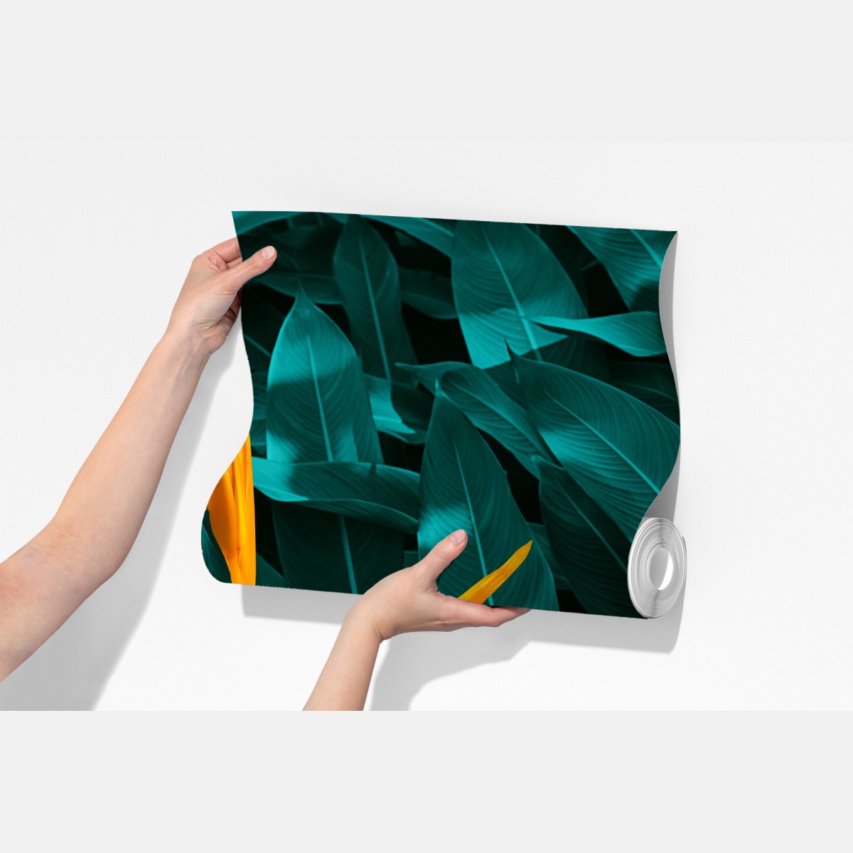 Fototapeta tropikalna strelicja na turkusowych liściach – Wallissimo® Fototapeta tropikalna strelicja na turkusowych liściach – Wallissimo®