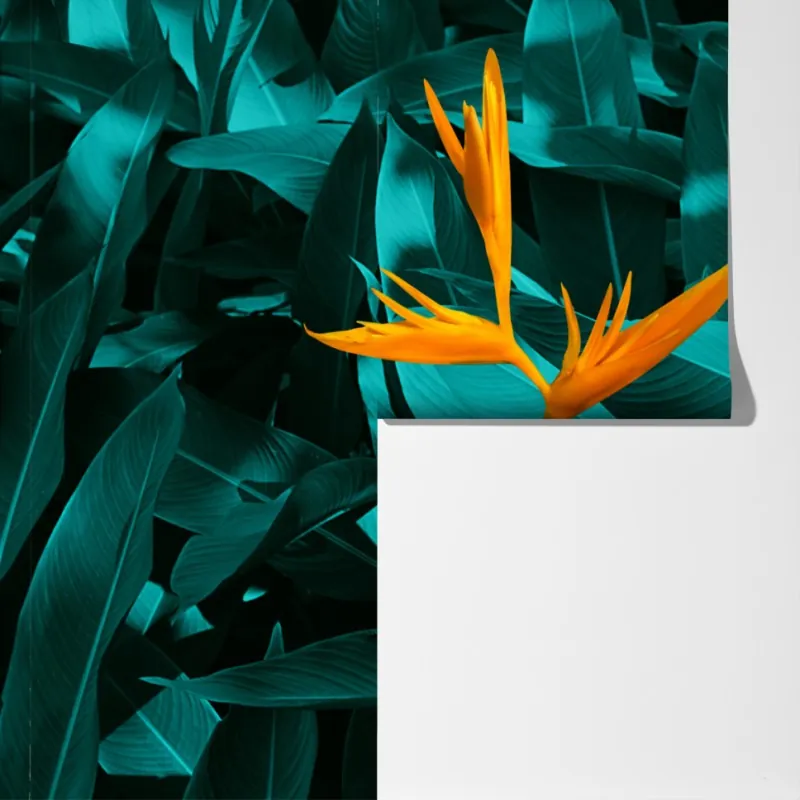 Fototapeta tropikalna strelicja na turkusowych liściach – Wallissimo® Fototapeta tropikalna strelicja na turkusowych liściach – Wallissimo®