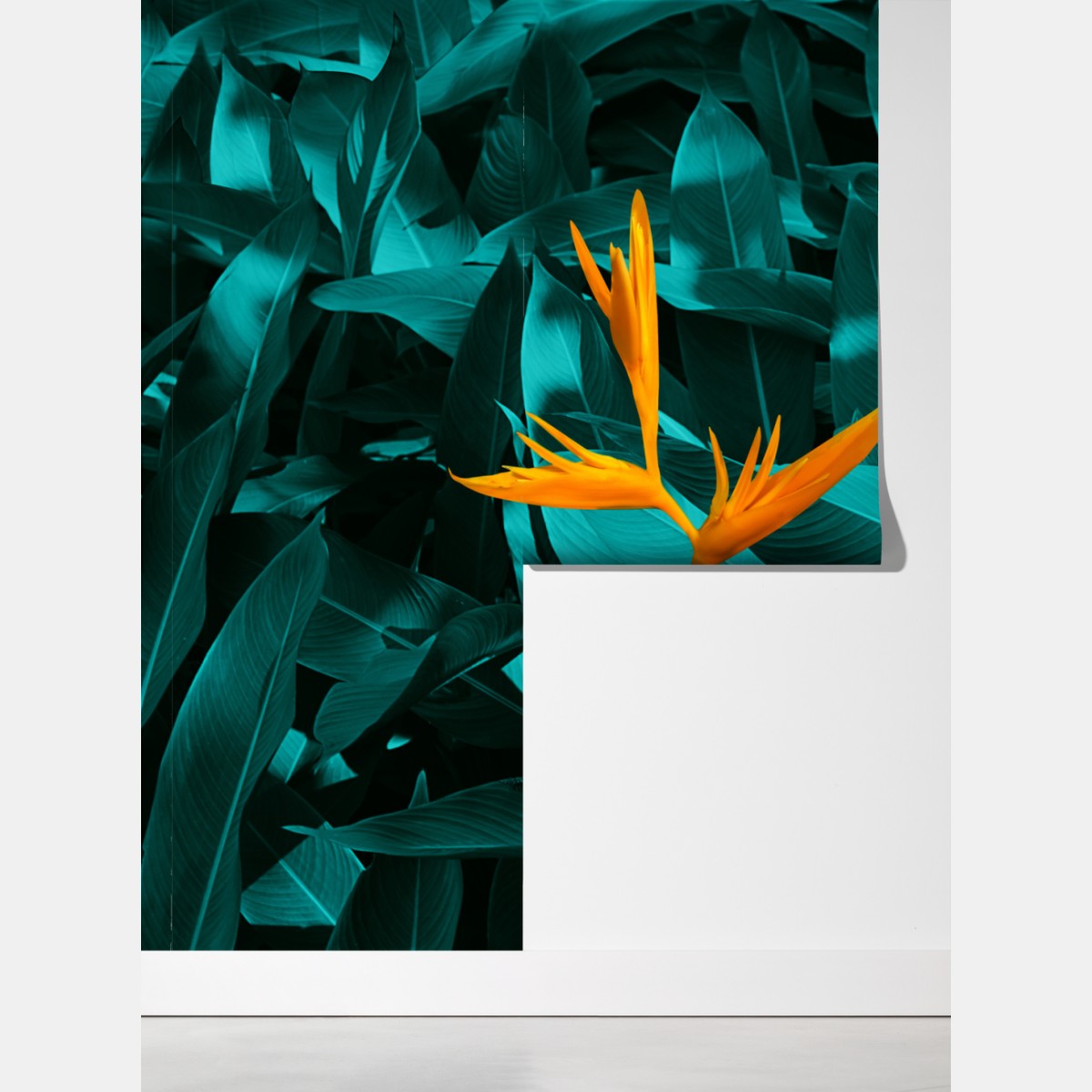Fototapeta tropikalna strelicja na turkusowych liściach – Wallissimo® Fototapeta tropikalna strelicja na turkusowych liściach – Wallissimo®