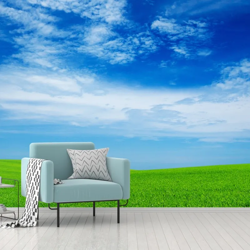 Fototapeta zielona łąka pod błękitnym niebem