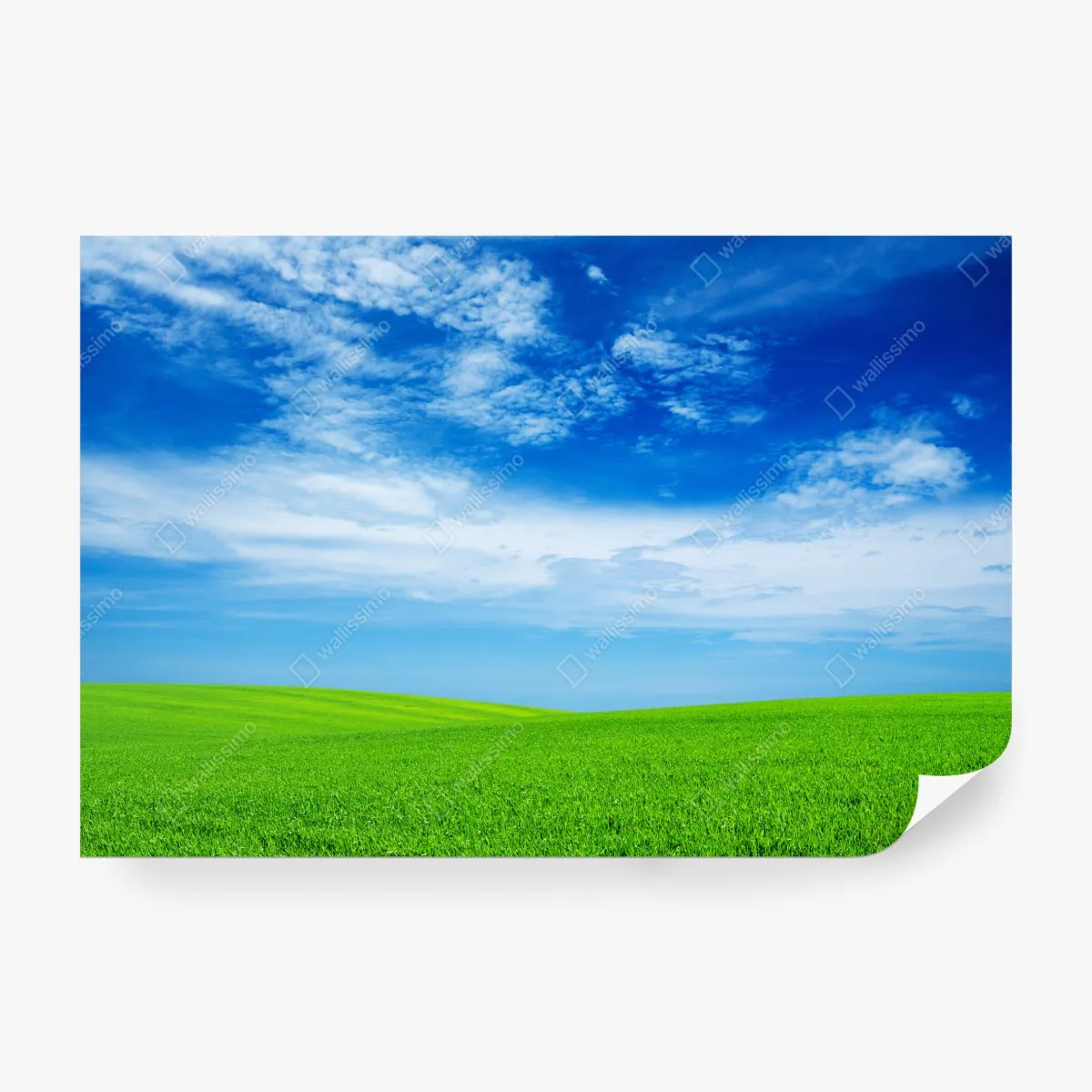Fototapeta zielona łąka pod błękitnym niebem – Wallissimo® Fototapeta zielona łąka pod błękitnym niebem – Wallissimo®