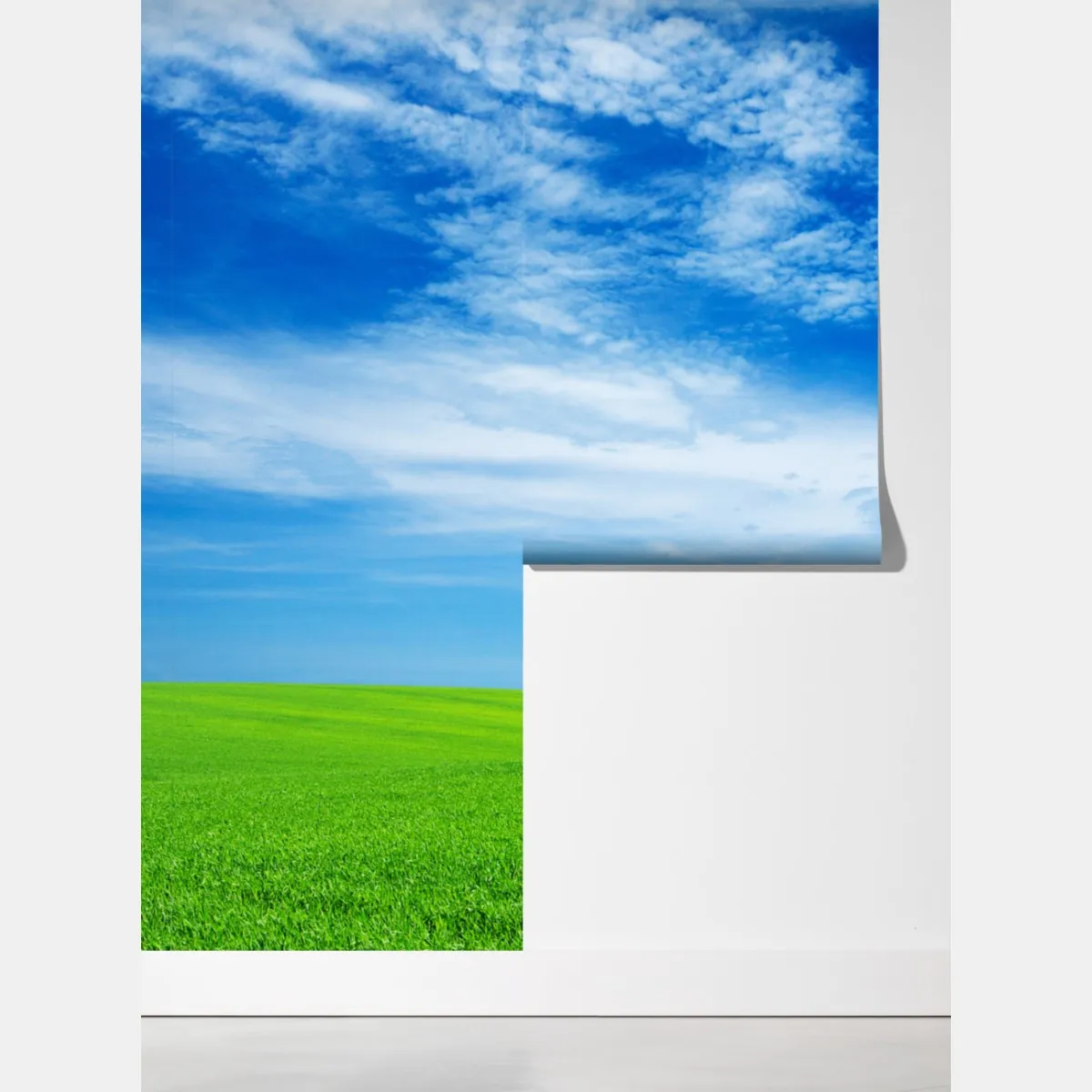 Fototapeta zielona łąka pod błękitnym niebem – Wallissimo® Fototapeta zielona łąka pod błękitnym niebem – Wallissimo®