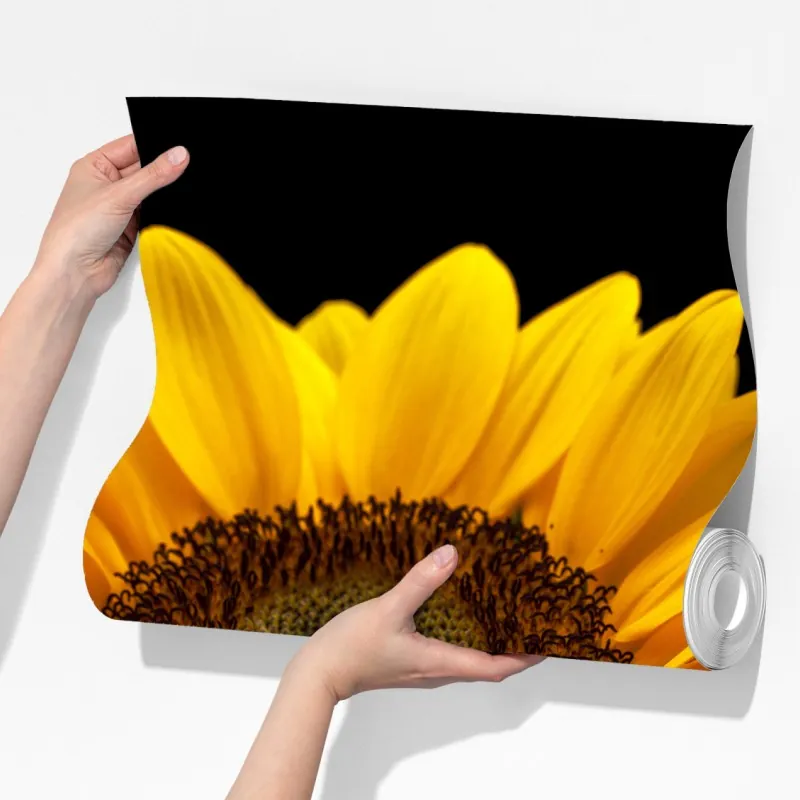 Fototapeta żywy słonecznik na czarnym tle – Wallissimo® Fototapeta żywy słonecznik na czarnym tle – Wallissimo®