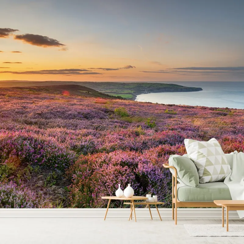 Fototapeta zachód słońca nad wrzosowiskiem na North York Moors