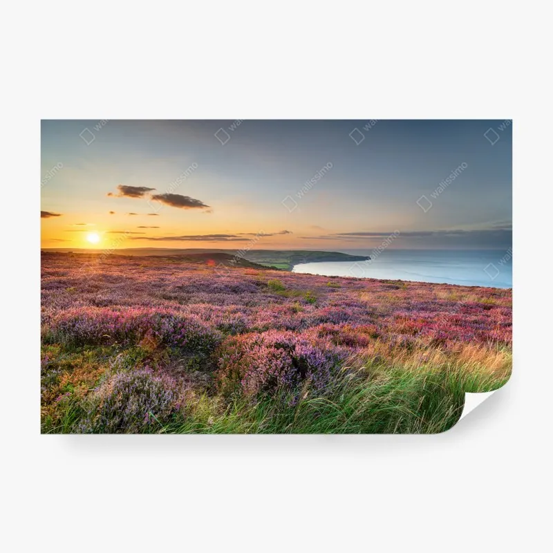 Fototapeta zachód słońca nad wrzosowiskiem na North York Moors