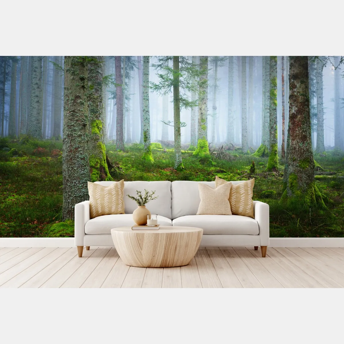 Fototapeta mglisty las sosnowy z Alzacji – Wallissimo® Fototapeta mglisty las sosnowy z Alzacji – Wallissimo®