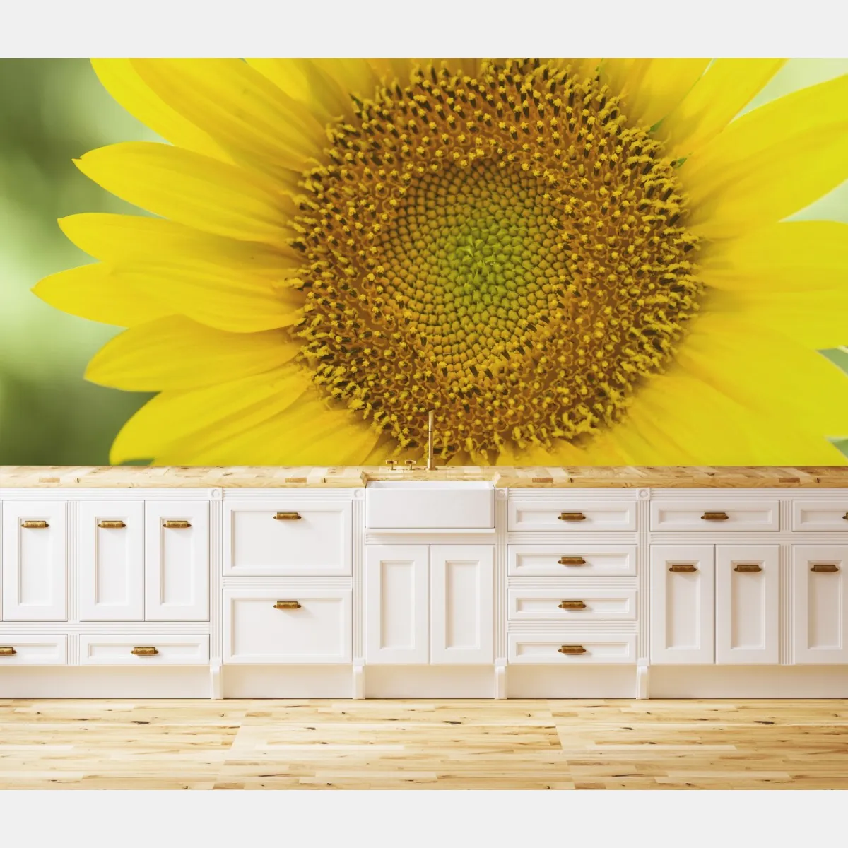 Fototapeta zbliżenie słonecznika – Wallissimo® Fototapeta zbliżenie słonecznika – Wallissimo®