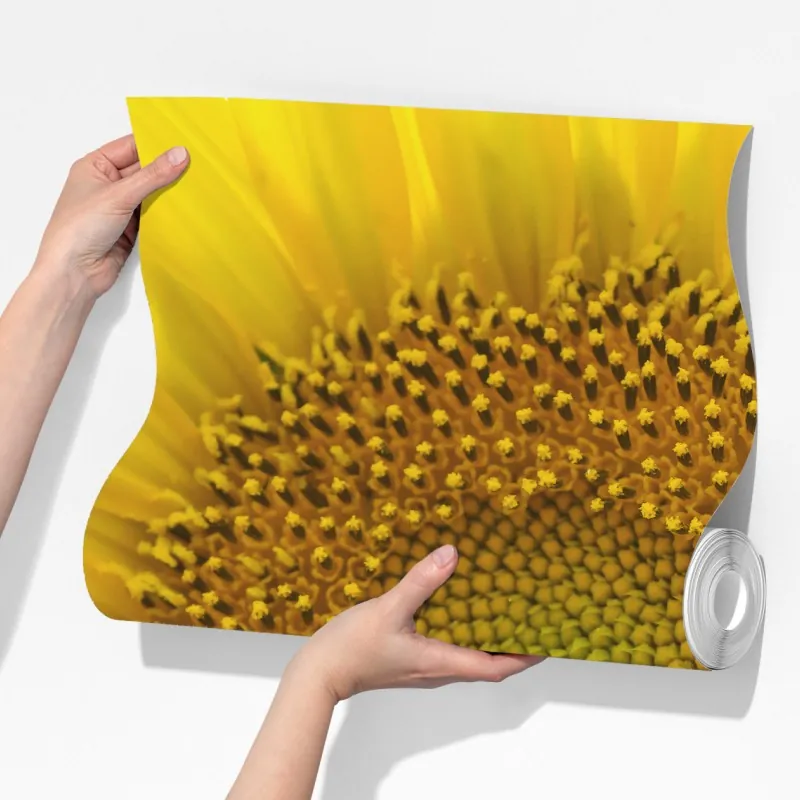 Fototapeta zbliżenie słonecznika – Wallissimo® Fototapeta zbliżenie słonecznika – Wallissimo®