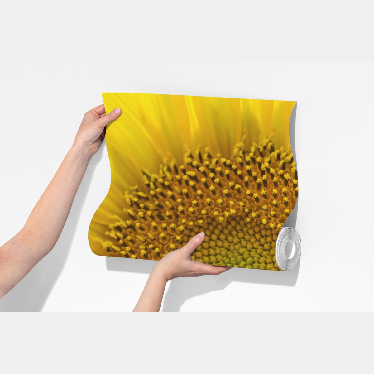 Fototapeta zbliżenie słonecznika – Wallissimo® Fototapeta zbliżenie słonecznika – Wallissimo®