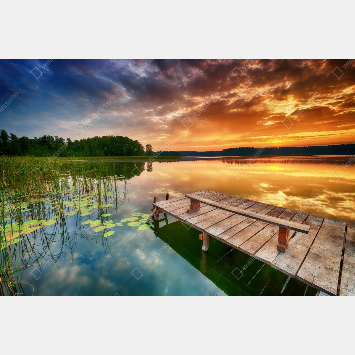 Fototapeta złoty wschód słońca nad spokojnym jeziorem – Wallissimo® Fototapeta złoty wschód słońca nad spokojnym jeziorem – Wallissimo®